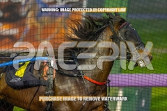 2026_PACEPIX_GP18092026_RACE1_CHACOEAGLE_WIN_WEB-5