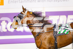 2025_PACEPIX_GP01072025_RACE1_ChaseMe_WIN_WEB-16