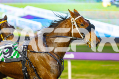 2025_PACEPIX_GP01072025_RACE1_ChaseMe_WIN_WEB-4