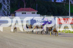 2025_PACEPIX_GP01072025_RACE1_ChaseMe_WIN_WEB-9