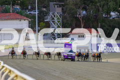 2026_PACEPIX_GP05052026_Race1_Ciganda_WIN_WEB-1