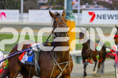 2026_PACEPIX_GP05052026_Race1_Ciganda_WIN_WEB-10