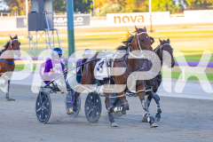 2025_PACEPIX_GP16012026_Race2_CodenameMarkus_WIN_WEB-10
