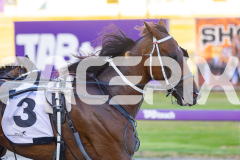 2025_PACEPIX_GP16012026_Race2_CodenameMarkus_WIN_WEB-11