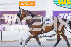 2025_PACEPIX_GP16012026_Race2_CodenameMarkus_WIN_WEB-14