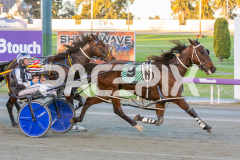 Codename-Marcus_15-08-2025_WIN_Gloucester-Park_1__02