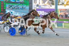 Codename-Marcus_15-08-2025_WIN_Gloucester-Park_1__03