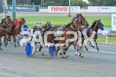 Codename-Marcus_15-08-2025_WIN_Gloucester-Park_1__05