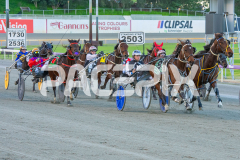 Codename-Marcus_15-08-2025_WIN_Gloucester-Park_1__06