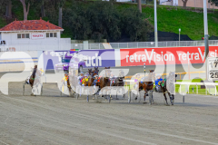 2026_PACEPIX_GP14072026_RACE1_CopperFine_WIN_WEB-1