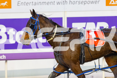 2026_PACEPIX_GP14072026_RACE1_CopperFine_WIN_WEB-12