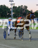 2026_PACEPIX_GP14072026_RACE1_CopperFine_WIN_WEB-14