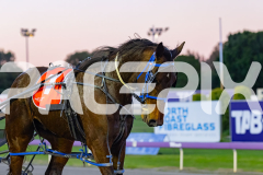 2026_PACEPIX_GP14072026_RACE1_CopperFine_WIN_WEB-16