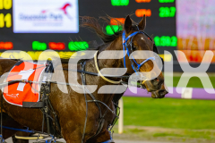 2026_PACEPIX_GP14072026_RACE1_CopperFine_WIN_WEB-9