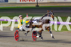 RACE 1 - Copper Head Lady