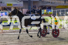 2026_PACEPIX_GP05062026_RACE1_CopperHeadLady_WIN_WEB-16