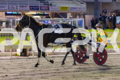 2026_PACEPIX_GP05062026_RACE1_CopperHeadLady_WIN_WEB-17
