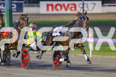 2026_PACEPIX_GP05062026_RACE1_CopperHeadLady_WIN_WEB-2