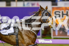 2026_PACEPIX_GP05062026_RACE1_CopperHeadLady_WIN_WEB-3