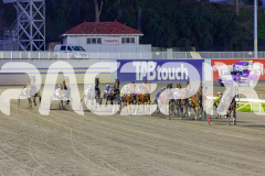 2026_PACEPIX_GP05062026_RACE1_CopperHeadLady_WIN_WEB-5