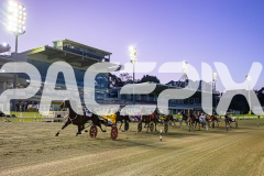 2026_PACEPIX_GP05062026_RACE1_CopperHeadLady_WIN_WEB-50