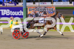 2026_PACEPIX_GP05062026_RACE1_CopperHeadLady_WIN_WEB-9