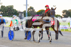 2025_PACEPIX_GP01082025_RACE1_CopyCatQueen_WIN_WEB-10