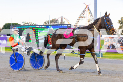 2025_PACEPIX_GP01082025_RACE1_CopyCatQueen_WIN_WEB-11