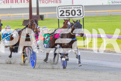 2025_PACEPIX_GP01082025_RACE1_CopyCatQueen_WIN_WEB-2