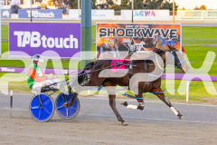 2025_PACEPIX_GP01082025_RACE1_CopyCatQueen_WIN_WEB-6