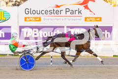 2025_PACEPIX_GP01082025_RACE1_CopyCatQueen_WIN_WEB-7