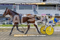 2026_PACEPIX_GP09102026_RACE1_DMac_WIN_WEB-23