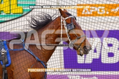 2026_PACEPIX_GP09102026_RACE1_DMac_WIN_WEB-8