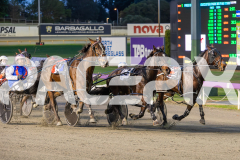 2025_PACEPIX_GP17062025_RACE1_Danger_WIN_WEB-1