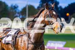 2025_PACEPIX_GP17062025_RACE1_Danger_WIN_WEB-10