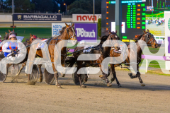 2025_PACEPIX_GP17062025_RACE1_Danger_WIN_WEB-2