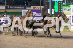 2025_PACEPIX_GP17062025_RACE1_Danger_WIN_WEB-3