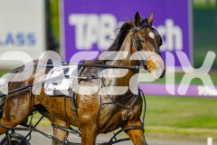 2025_PACEPIX_GP17062025_Race1_Danger_WIN_WEB-s13