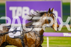 2025_PACEPIX_GP17062025_Race1_Danger_WIN_WEB-s14
