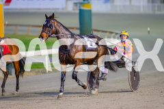 2025_PACEPIX_GP17062025_Race1_Danger_WIN_WEB-s15