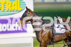 2025_PACEPIX_GP17062025_Race1_Danger_WIN_WEB-s16