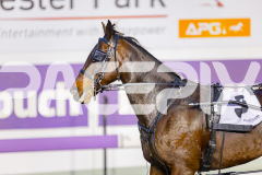 2025_PACEPIX_GP17062025_Race1_Danger_WIN_WEB-s17