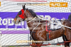 2026_PACEPIX_GP27102026_Race1_DareToLie_WIN_WEB-10