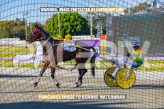 2026_PACEPIX_GP27102026_Race1_DareToLie_WIN_WEB-11