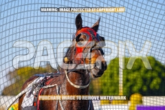 2026_PACEPIX_GP27102026_Race1_DareToLie_WIN_WEB-12