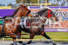 2026_PACEPIX_GP27102026_Race1_DareToLie_WIN_WEB-3