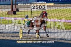 2026_PACEPIX_GP27102026_Race1_DareToLie_WIN_WEB-5