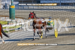 2026_PACEPIX_GP27102026_Race1_DareToLie_WIN_WEB-8