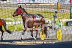 2026_PACEPIX_GP27102026_Race1_DareToLie_WIN_WEB-9