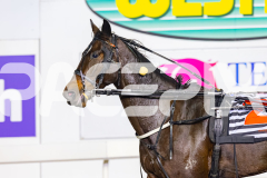 2026_PACEPIX_GP22052026_RACE1_DarkEyes_WIN_WEB-11